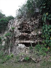 Nature inusitée et insolite de Cuba....