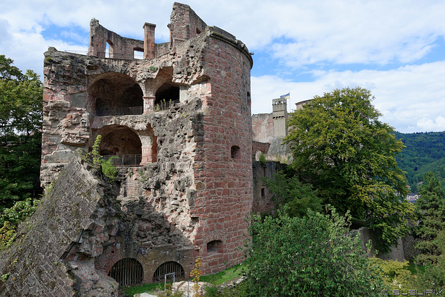 Schloss Heidelberg (© Buelipix)