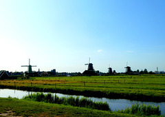 Kinderdijk