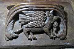 bovey tracey church, devon  , c16 fox goose hens  misericord  (1)