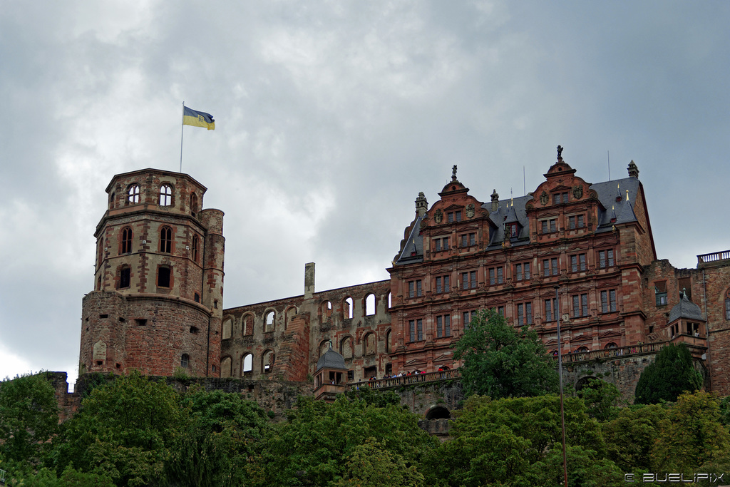 Schloss Heidelberg (© Buelipix)