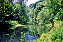 River Wye at Monsal Dale (Scan from June 1989)