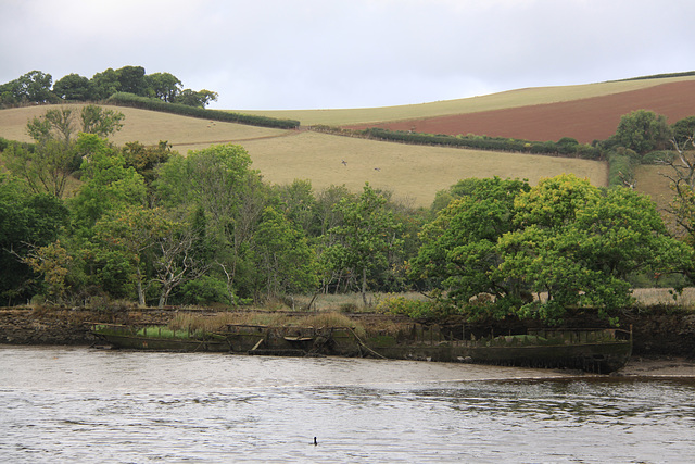 River Dart