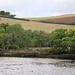 River Dart