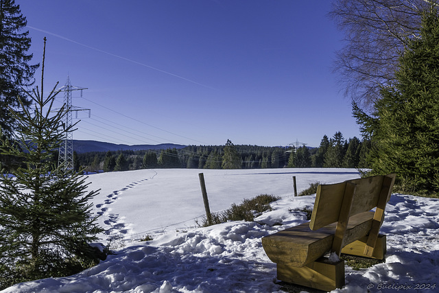 HBM ... I wish you lots of sunshine for the rest of 2024 and also for the whole of 2025 ... with this bench in the Black Forest ... P.i.P. (© Buelipix)