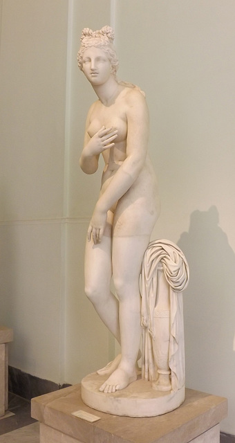 Aphrodite of the Dresden-Capitoline Type in the Naples Archaeological Museum, July 2012