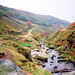 Looking downstream along the River Dane from Three Shires Head (scan from 1990)