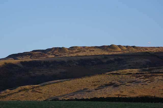 First light on Cock Hill