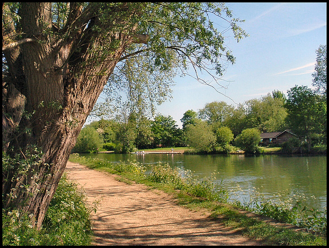 Thames Path near Donny Bridge