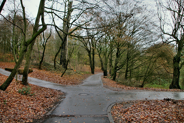 Weg im Lottental (Bochum-Wiemelhausen) / 7.12.2019