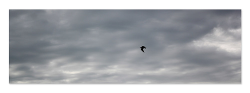 Horizontal sky  Newhaven 20 10 2020