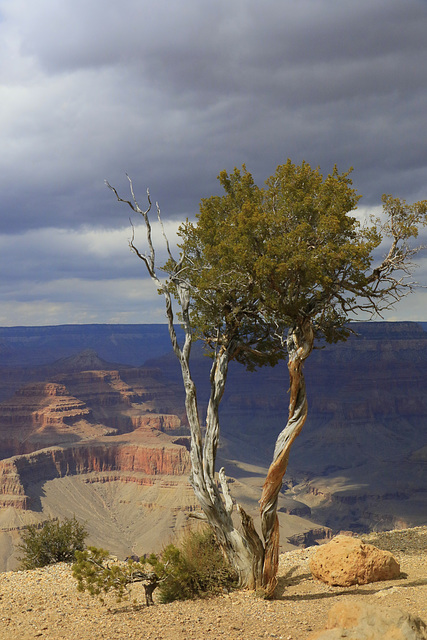 Maricopa Point, Grand Canyon