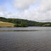 River Dart