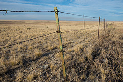 Colorodo Prairie