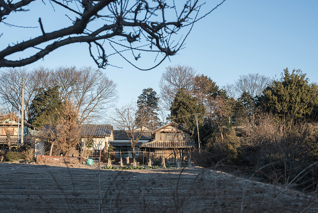 In the cold winter morning