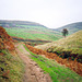 Track leading to Three Shires Head with Blackclough on the right (scan from 1990)