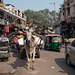 Straßenszene in Delhi, 2012