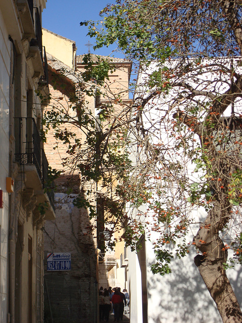 Blick in Richtung des Centro histórico