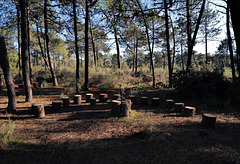 Monte Gordo, Meeting place in the pine woods