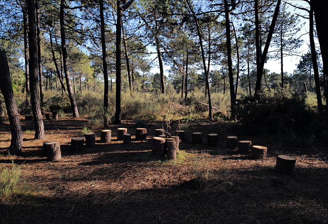 Monte Gordo, Meeting place in the pine woods