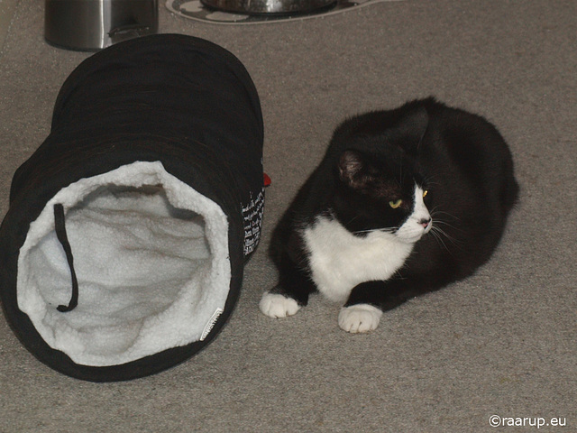 Snow White watching over her toy