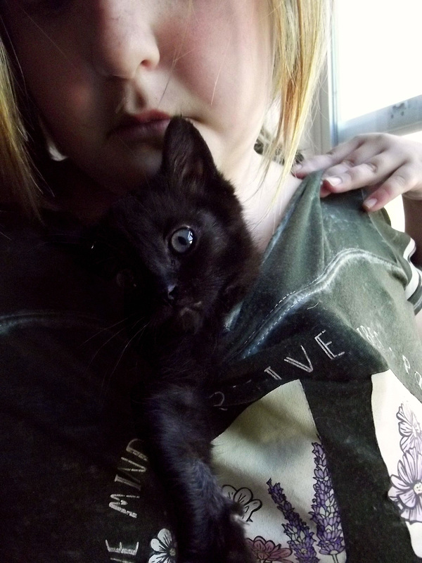 Kitty says hello
