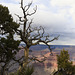 West Rim Trail