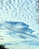 Wolken-Vogel bzw. punch cloud