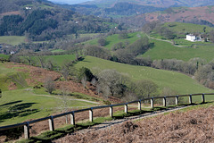 HFF ~ On the way to Dinas Bran castle