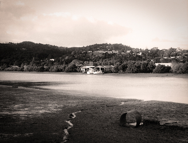 Low Tide on The Hatea River