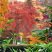 Bambusgrün  im Herbst