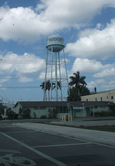 Wet Pahokee