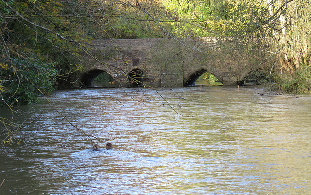 rousham park, oxon (27) c13 heyford bridge over the river cherwell