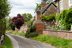 Butts Lane