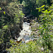 The Findhorn at Dulsie