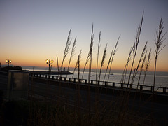 Petit matin à Sausset les pins