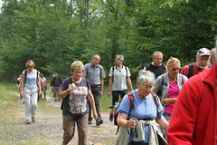 Randonnée Bombon-La Chapelle Gauthier-Bombon  - 20/06/2015