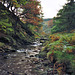River Dane (scan from 1990)