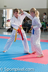 kj-karate-695 15797096025 o