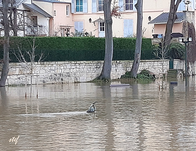 plus que les pieds dans l'eau