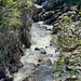 The Findhorn at Dulsie