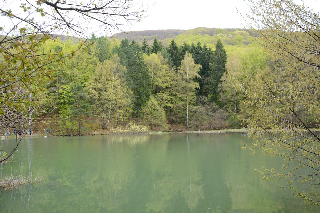 Bulgaria, Sofia, Reflections in Boyana Lake