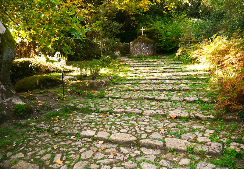 Convento dos Capuchos V