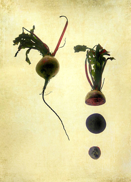 beetroot 2