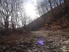 20190309 Rando solo Chalet de l'Aigle (Lozere) (25)