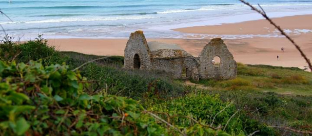 ... abandonnée... ... abandonnée...
