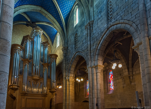 Collégiale / Kollegiatkirche, Neuchâtel (© Buelipix)