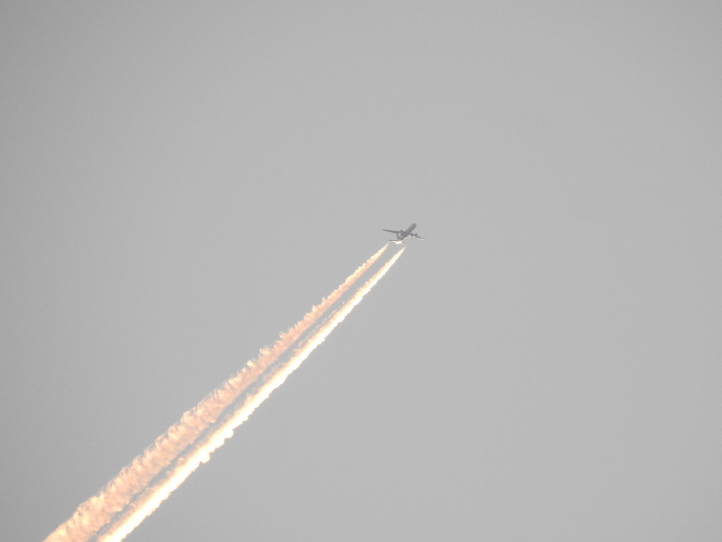 Sunset catches the vapour trail