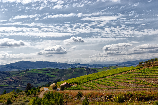 Alijó, Portugal