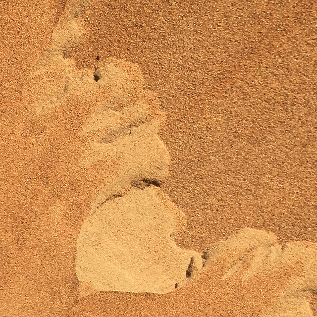 Sand Abstract II.